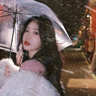 大使阁下的料理人 海报